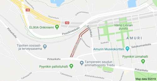 Tampere (Pirkanmaa) - Kissa - Näköhavainto (61638) 